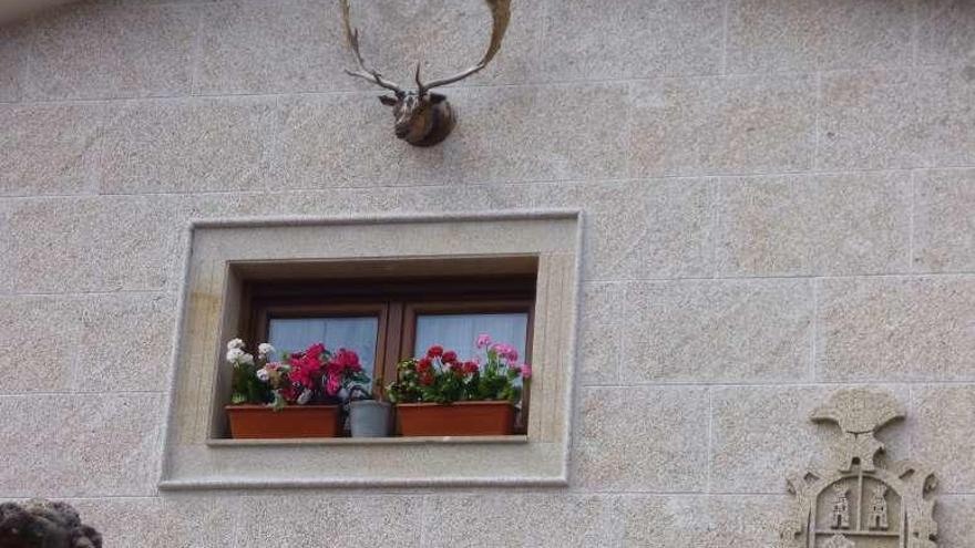 Casa con cuernos de gamo en Nós