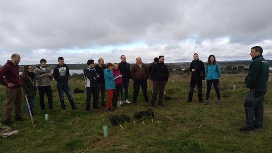 Arroyo de la Luz se alía con los árboles