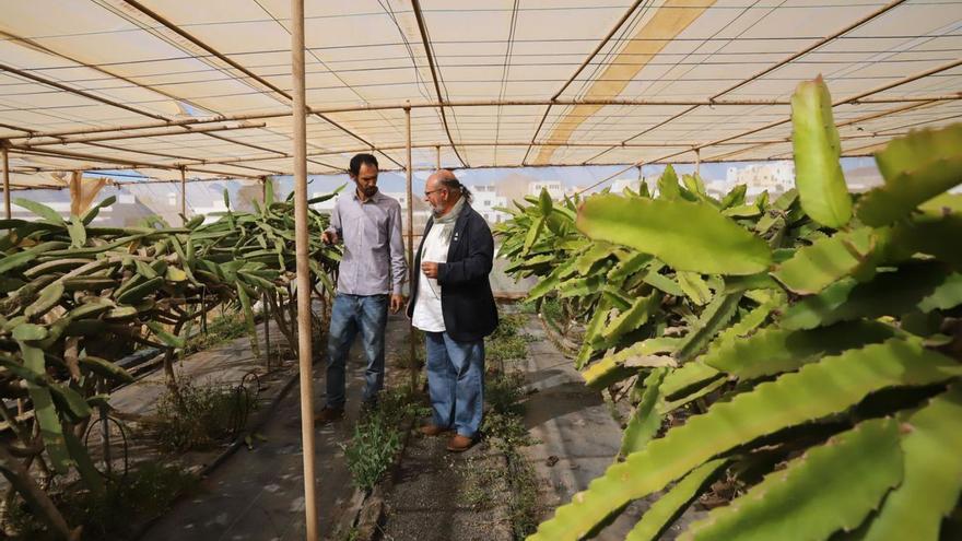 Un momento de la visita a las instalaciones del Centro de Conservación de la Biodiversidad de Lanzarote. | | CABILDO DE LANZAROTE