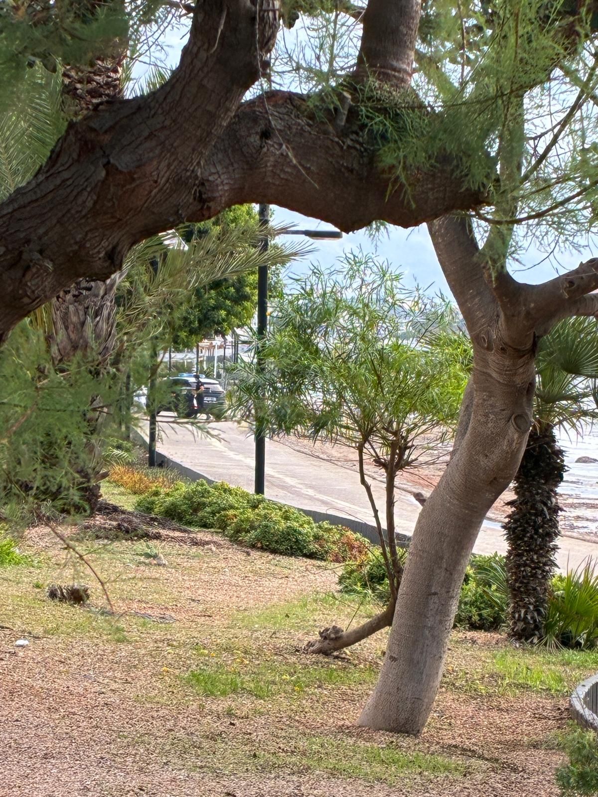 Encuentran el pie de una persona en Platja d'en Bossa