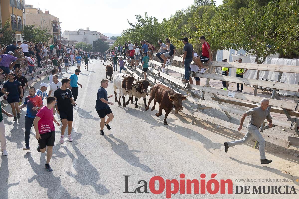 Quinto encierro de la Feria Taurina del Arroz en Calasparra