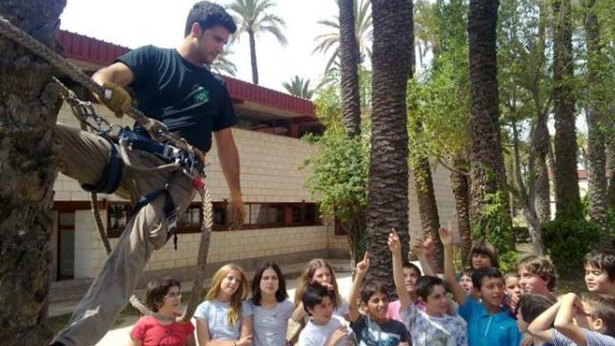 Un momento de la exhibición en el colegio El Palmeral.