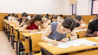 Menos aprobados en la UJI en la selectividad más dura en años en Castellón