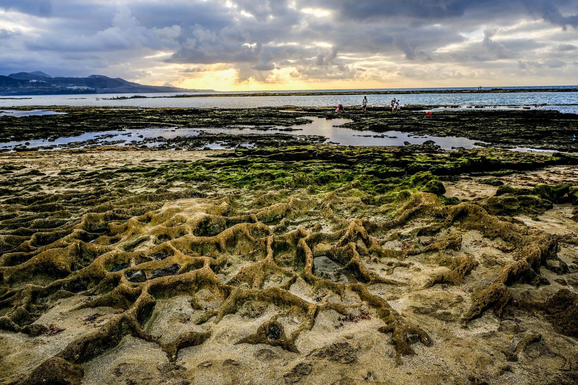 Playas fósiles de Las Canteras