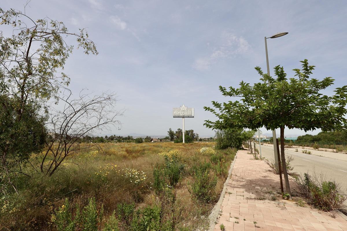 El solar ubicado en la calle Franternidad de La Alberca acogerá la mayor promoción, con 111 viviendas.
