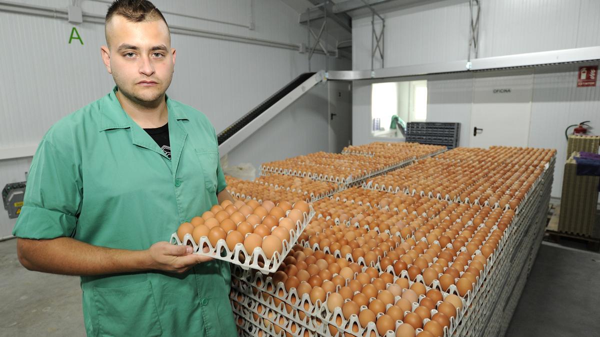 Alberto Rodríguez, ante cientos de huevos de sus gallinas.