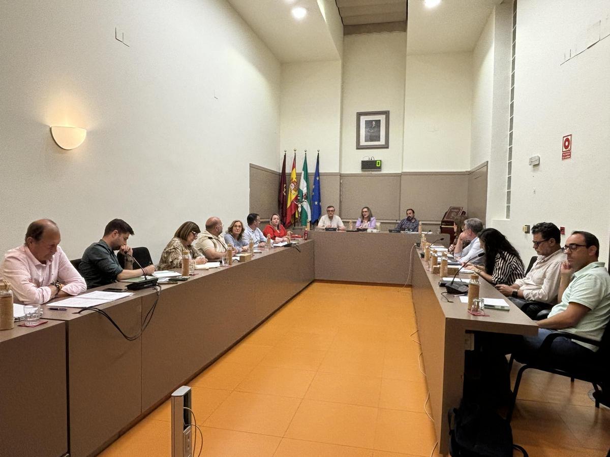 Un momento del Pleno celebrado por el Ayuntamiento de Baena.