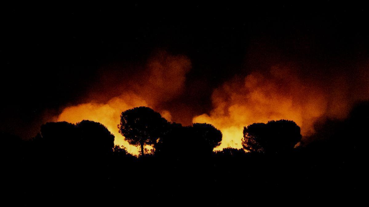 ÚLTIMA HORA INCENDIOS | El incendio de Niebla (Huelva) se complica por los cambios de viento: la Junta de Andalucía declara el nivel 2 de emergencia y pide ayuda a la UME