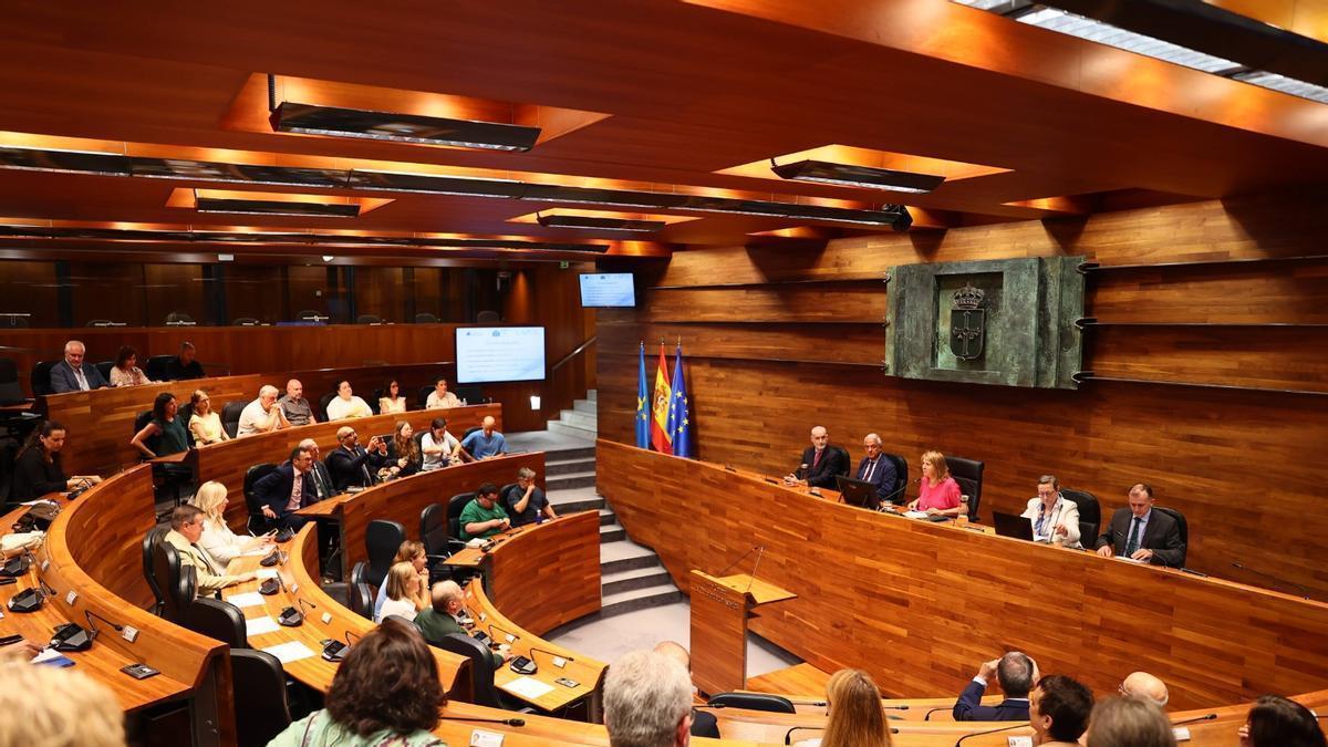 Acto de inauguración de la jornada sobre los derechos fundamentales de las personas con discapacidad en el hemiciclo de la Junta General del Principado.
