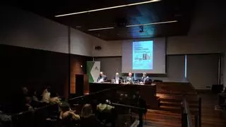 El Museo de Málaga acoge la jornada 'España y Estados Unidos: 250 aniversario de relación y vínculo histórico'