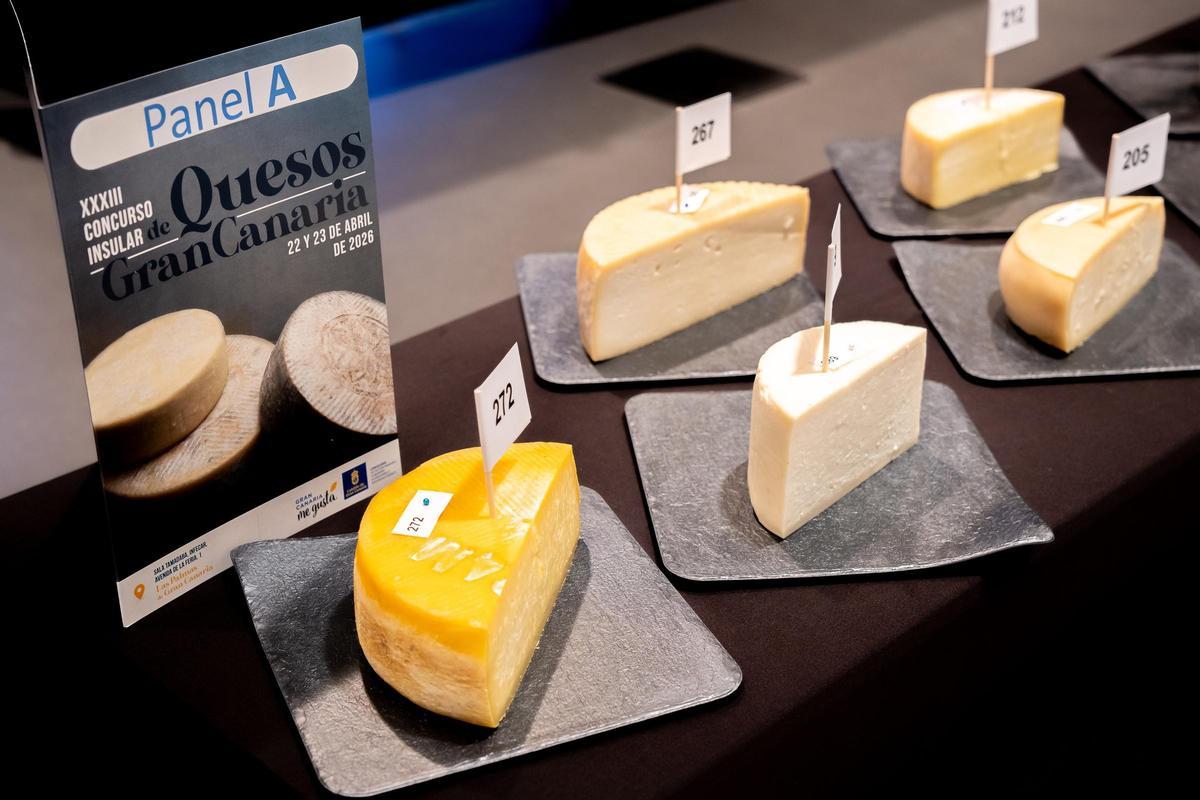 Gran Canaria celebra en Infecar la XXXIII edición del Concurso Oficial de Quesos