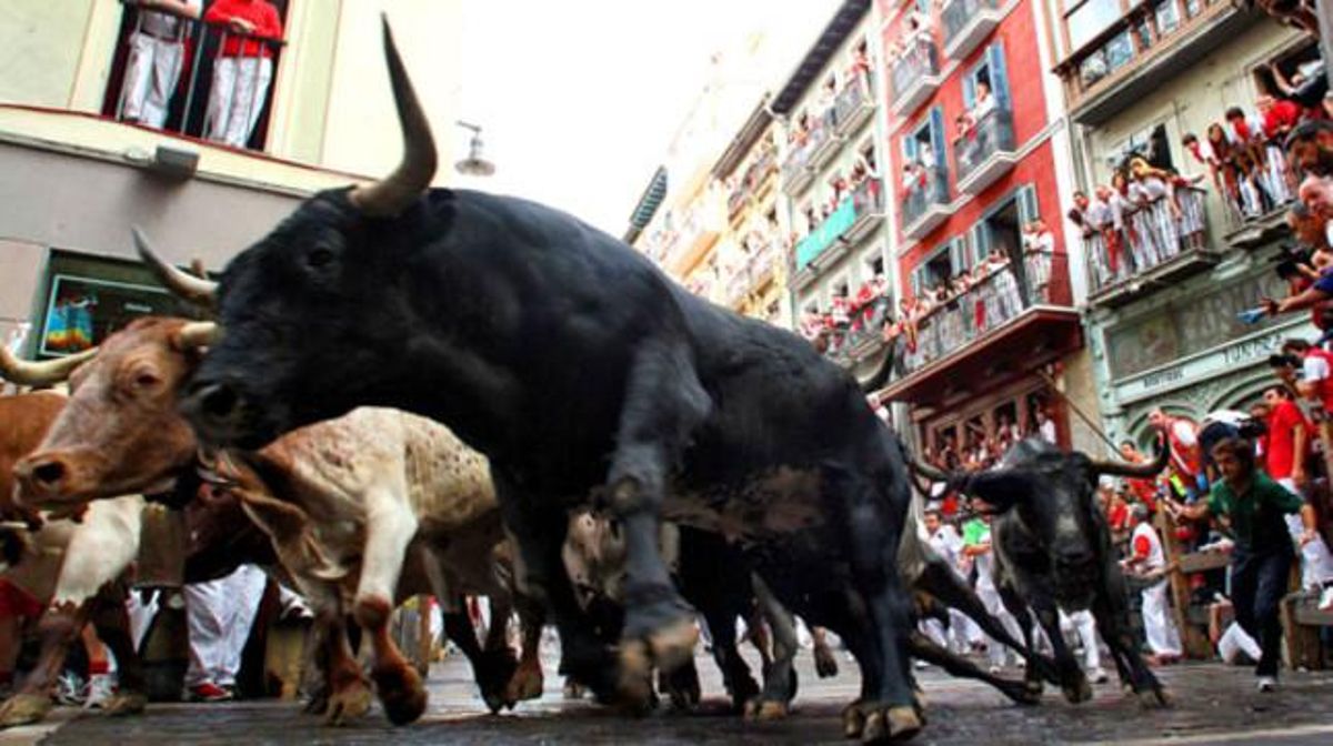 Els toros de la ramaderia Miura recorren els carrers de Pamplona. Aquest ’encierro’ es va saldar amb quatre ferits.