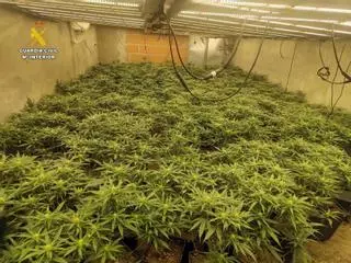 El crim del ‘jardiner’ de Rubí: cinc anys per matar un fals policia que volia robar-li marihuana