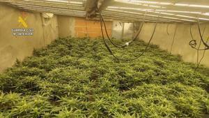 El crimen del ‘jardinero’ de Rubí: cinco años por matar a un falso policía que quería robarle marihuana