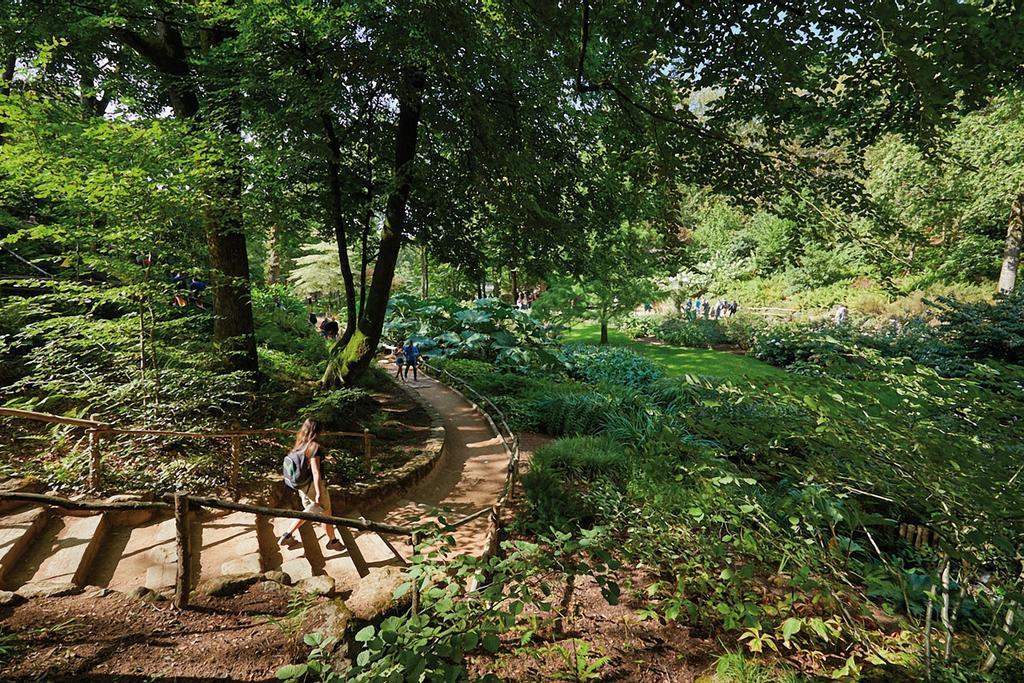 El Parque de Puy du Fou se integra dentro de un bosque de 50 hectáreas.