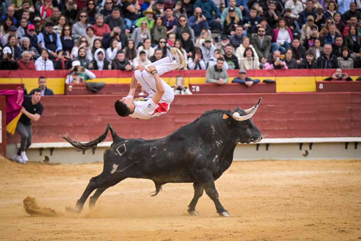 Así ha sido el Concurso Nacional de Recortadores de Castellón