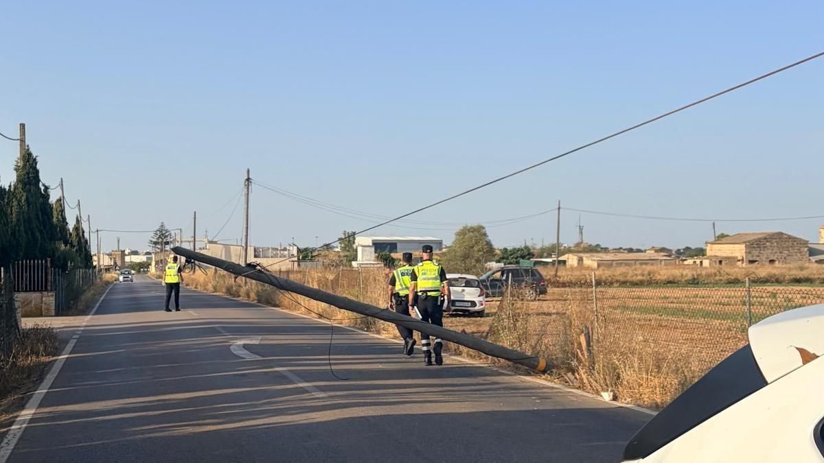 Agentes de la Policía Local de Palma junto al poste telefónico derribado por una conductora que perdió el control.