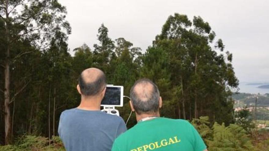 Empleo de drones para atacar a nidos situados a gran altura