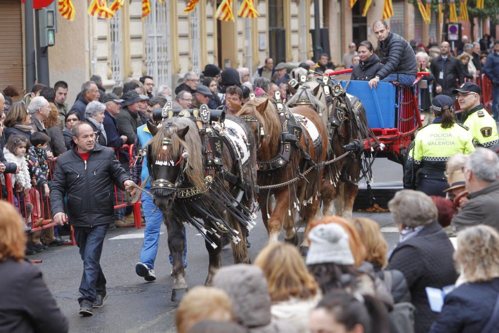 Sant Antoni en Valencia 2017