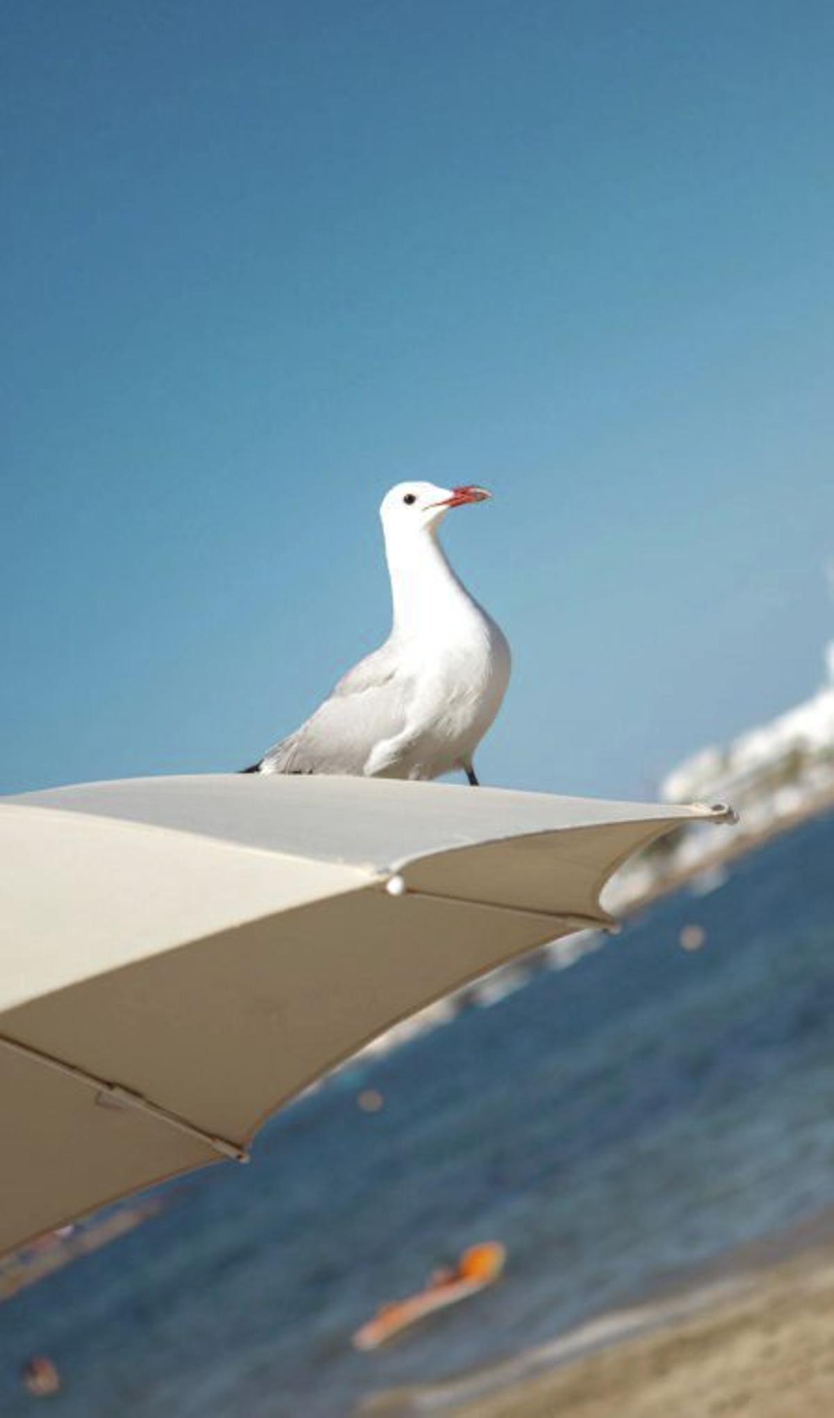 Ambiente mediterráneo.