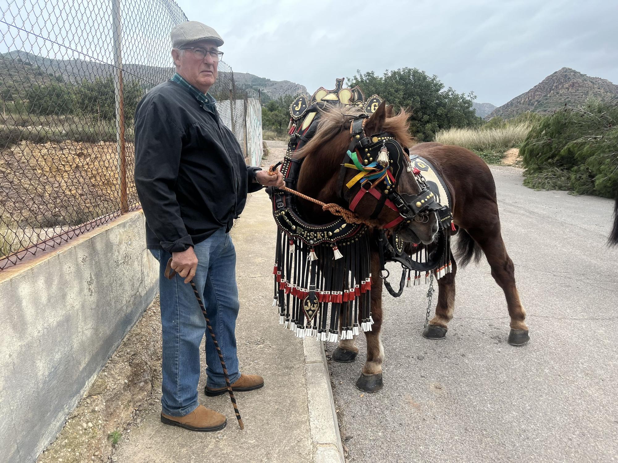 Baixà del pi de las fiestas de Sant Antoni 2023 en la Vall