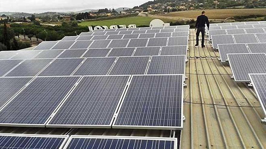 Inselrat Mallorca weist Flächen für Solarparks aus