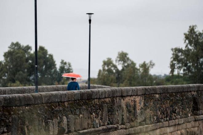 Galería | Mérida se moja con las lluvias de este domingo