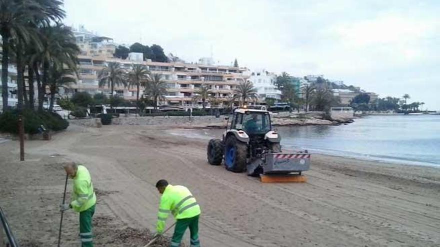 Operarios en la playa de ses Figueretes.