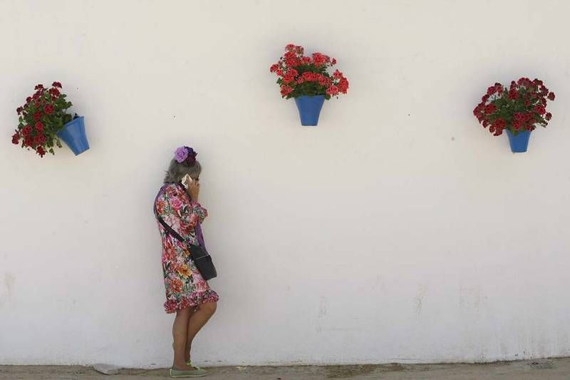 FOTOGALERÍA / LUNES DE FERIA EN EL ARENAL