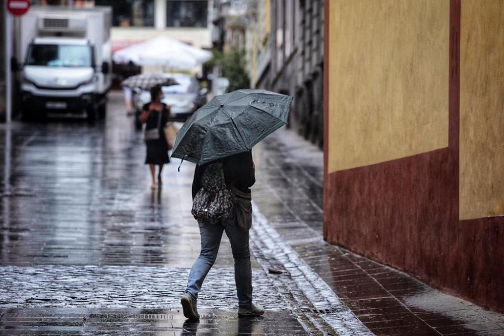 Los paraguas y abrigos salieron a la calle.