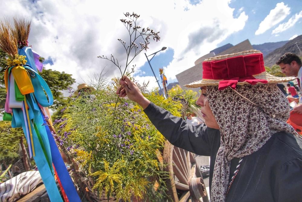 Romería y ofrenda a los patronos de Adeje