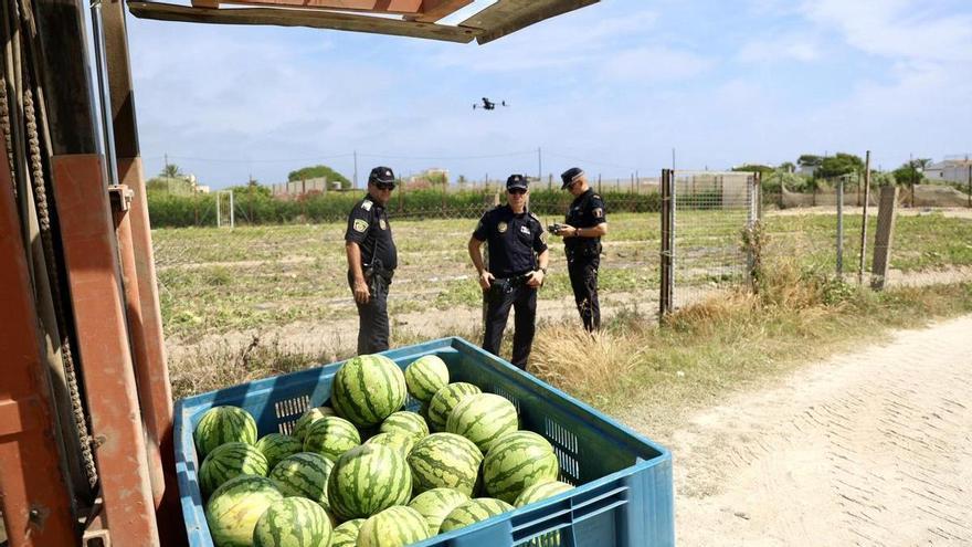 Drones y patrullas especializadas redoblan la vigilancia para frenar los robos de sandías en Cullera