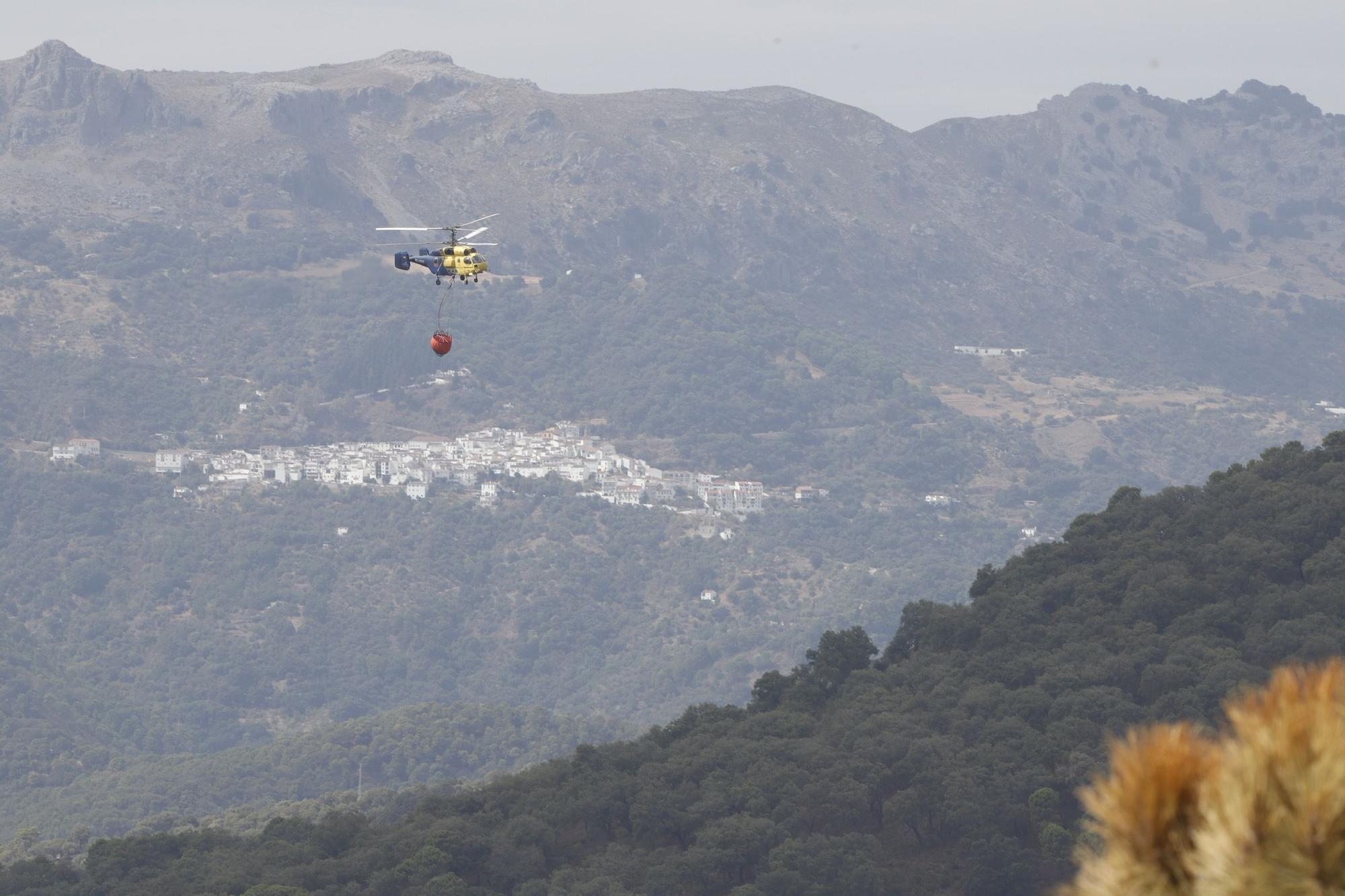 El Paraje de las Peñas Blancas en Estepona arrasado por el fuego