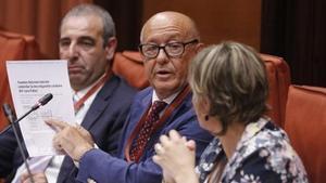  Marcelino Martín-Blas, en el Parlament.