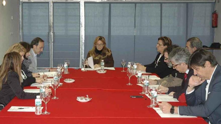 Reunión del pleno de Ifeza.