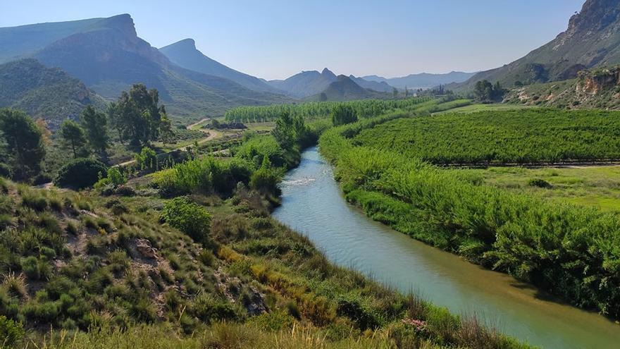 Los regantes del Tajo-Segura llevan al Supremo el nuevo recorte del trasvase que beneficia a La Mancha