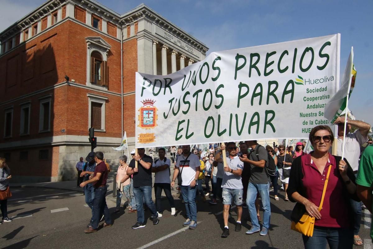 Córdoba se suma a la gran manifestación del olivar en Madrid