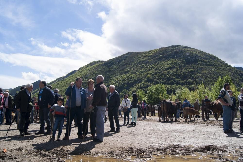 Celebración de La Ascensión en Olloniego