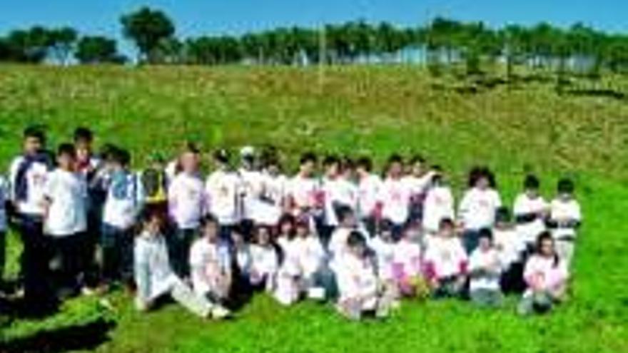 Alumnos de cinco centros plantan 425 árboles en el Cerro de los Pinos