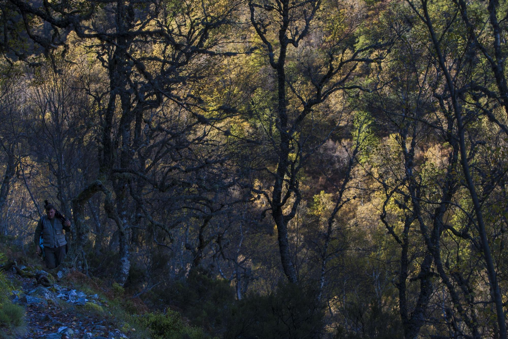 Las 100 fotos que demuestran que el otoño es la mejor época para conocer Asturias