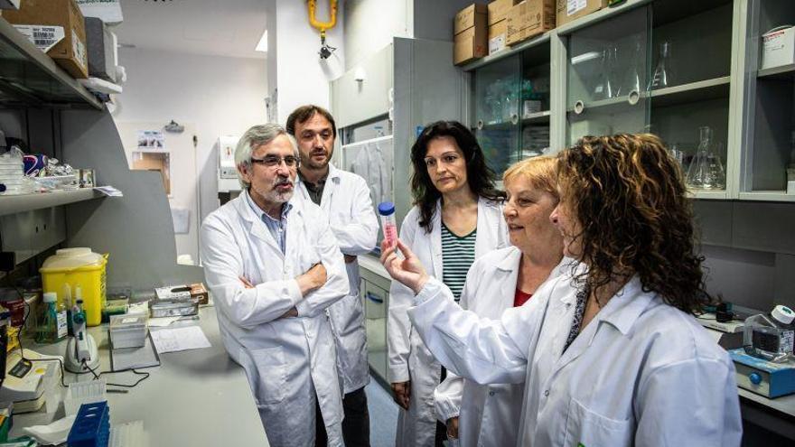 Investigadores hallan un método para diagnosticar la asperfilosis invasiva