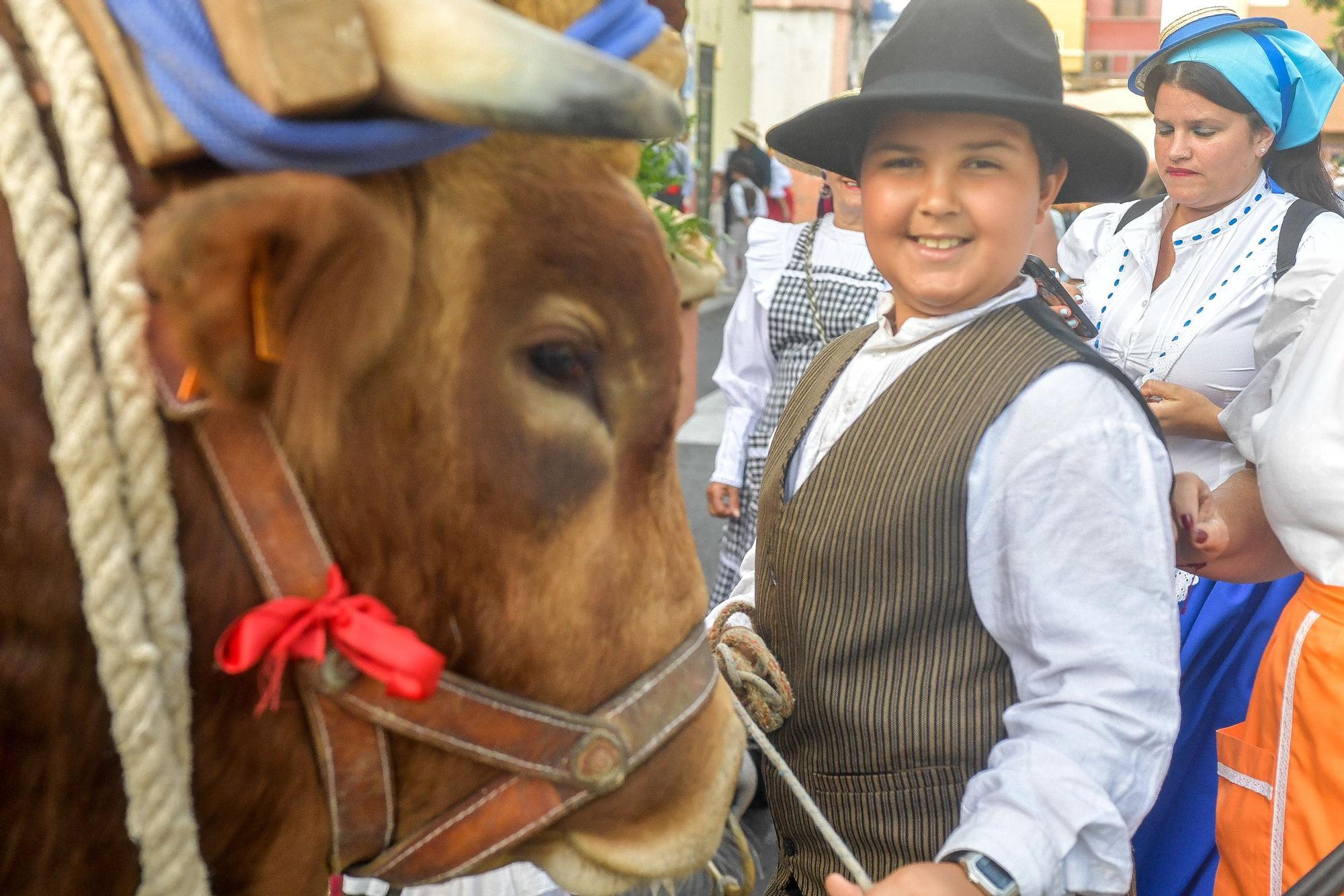 Romería de San Juan en Telde