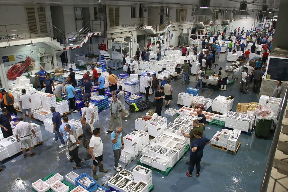 Así es un día de trabajo en la pescadería de Mercamálaga