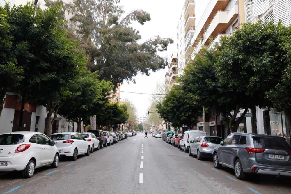 Avenida Bartomeu Roselló.