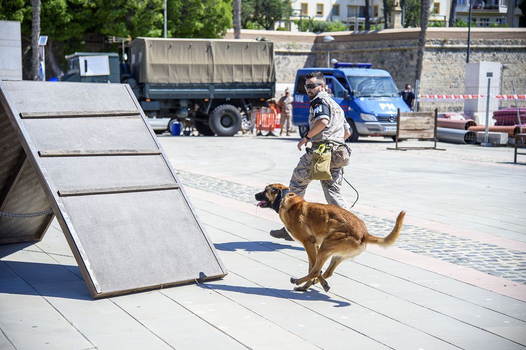 Día de las Fuerzas Armadas 2022 en Cartagena