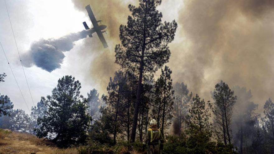 Un brigadista observa como un hidroavión realiza labores de extinción en Castro de Beiro // Brais Lorenzo