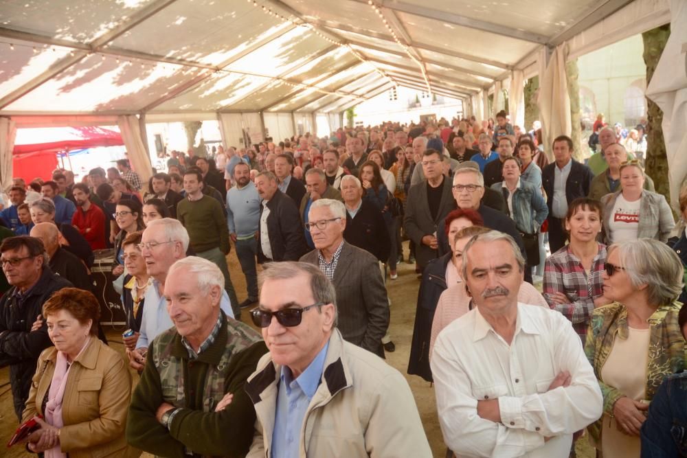 Fiestas gastronómicas en Galicia | La Festa da Troita de Ponte Caldelas reparte 3.000 kilos del pescado