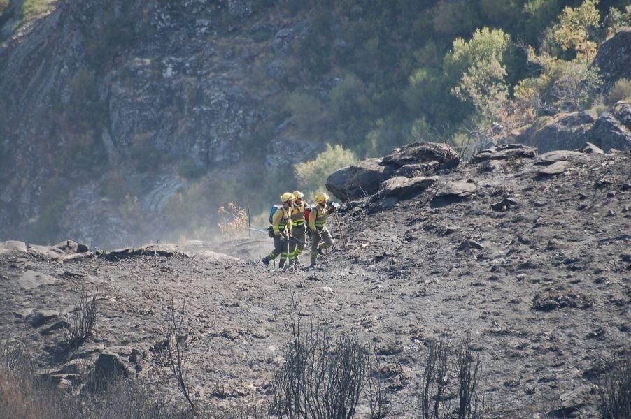 Incendio en Hedroso (Zamora)