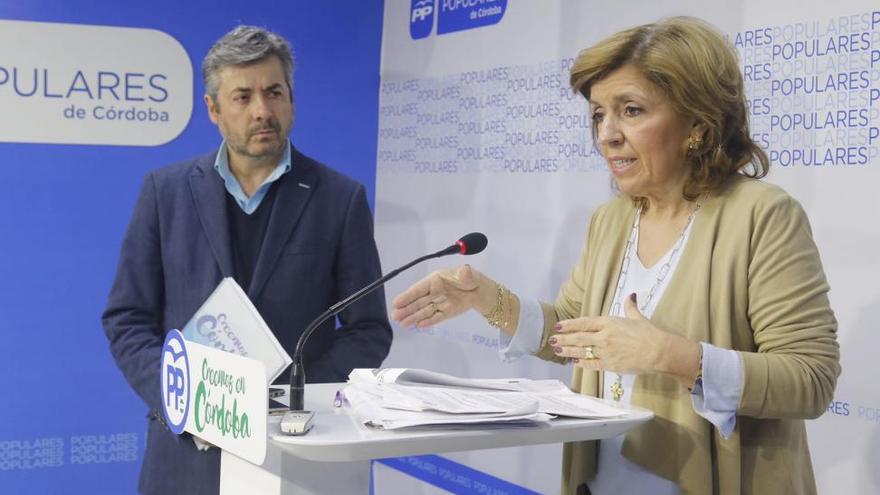 El PP exige a la Junta que apruebe ya la estrategia para las zonas desfavorecidas