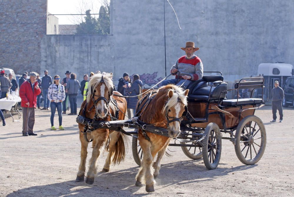 Festa de Sant Antoni Abat a Torroella de Montgrí